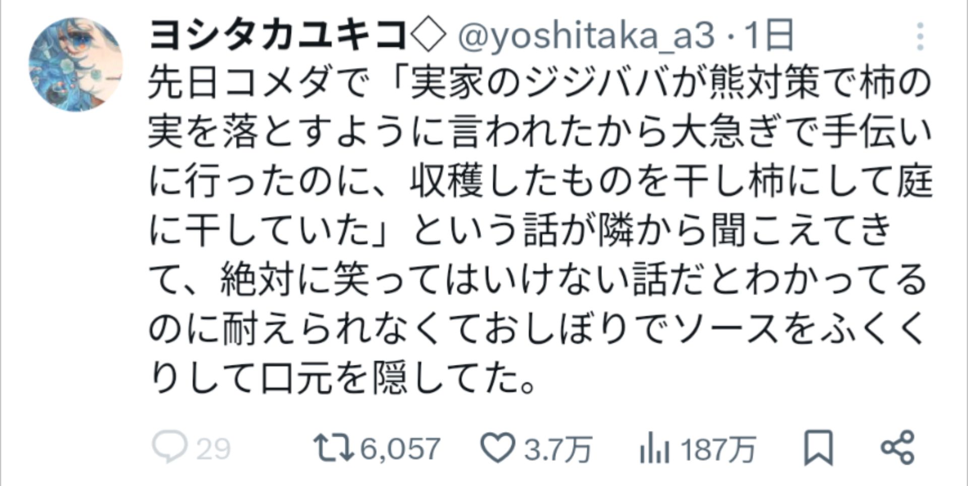 投稿画像