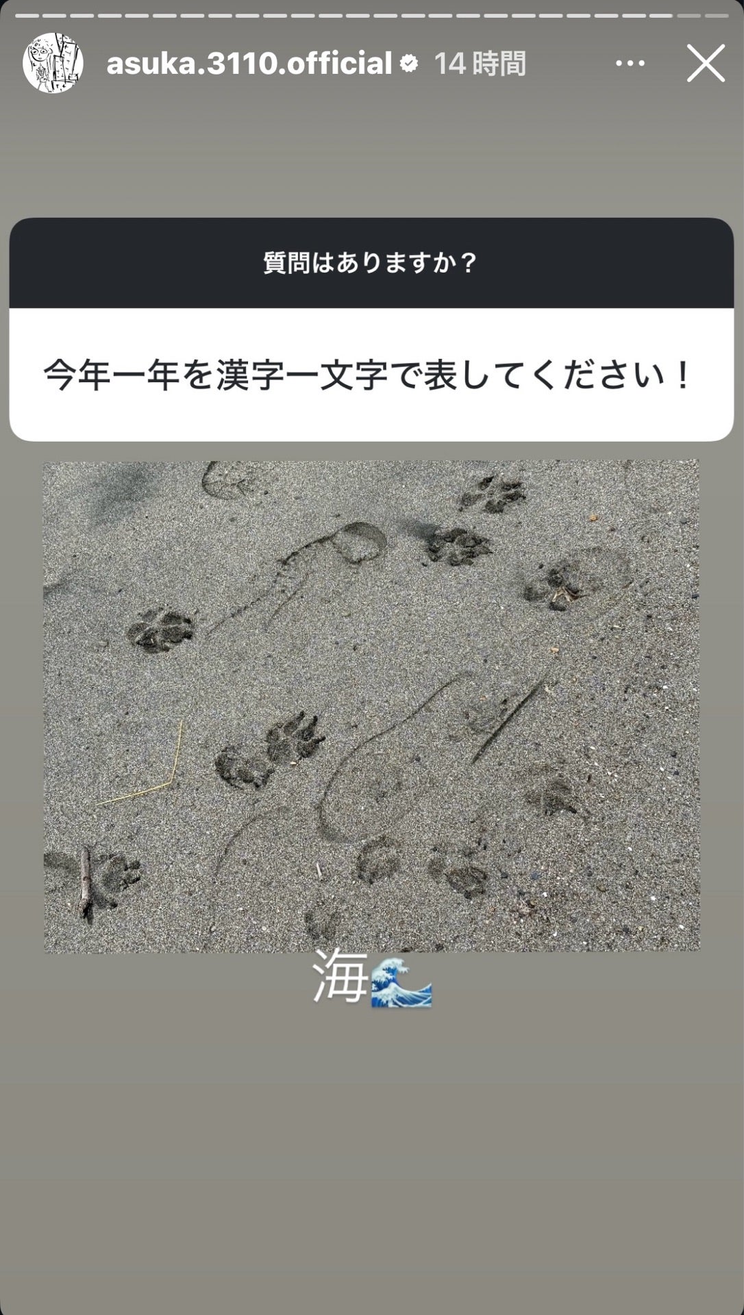 投稿画像