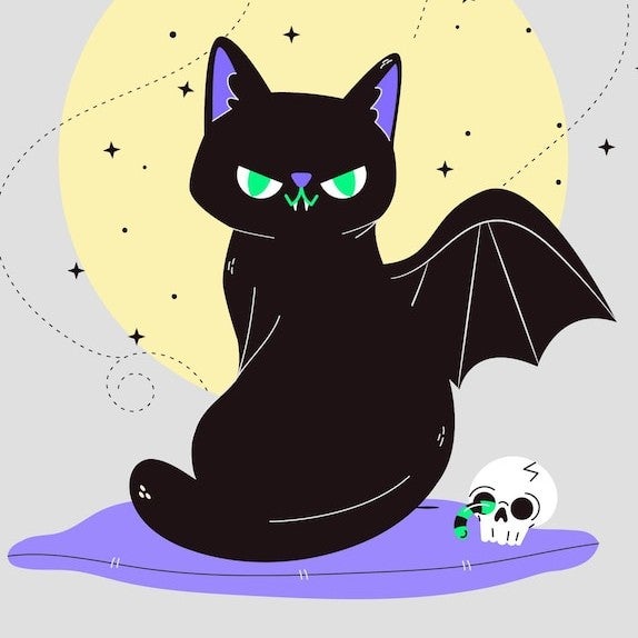 黒猫🐈‍⬛