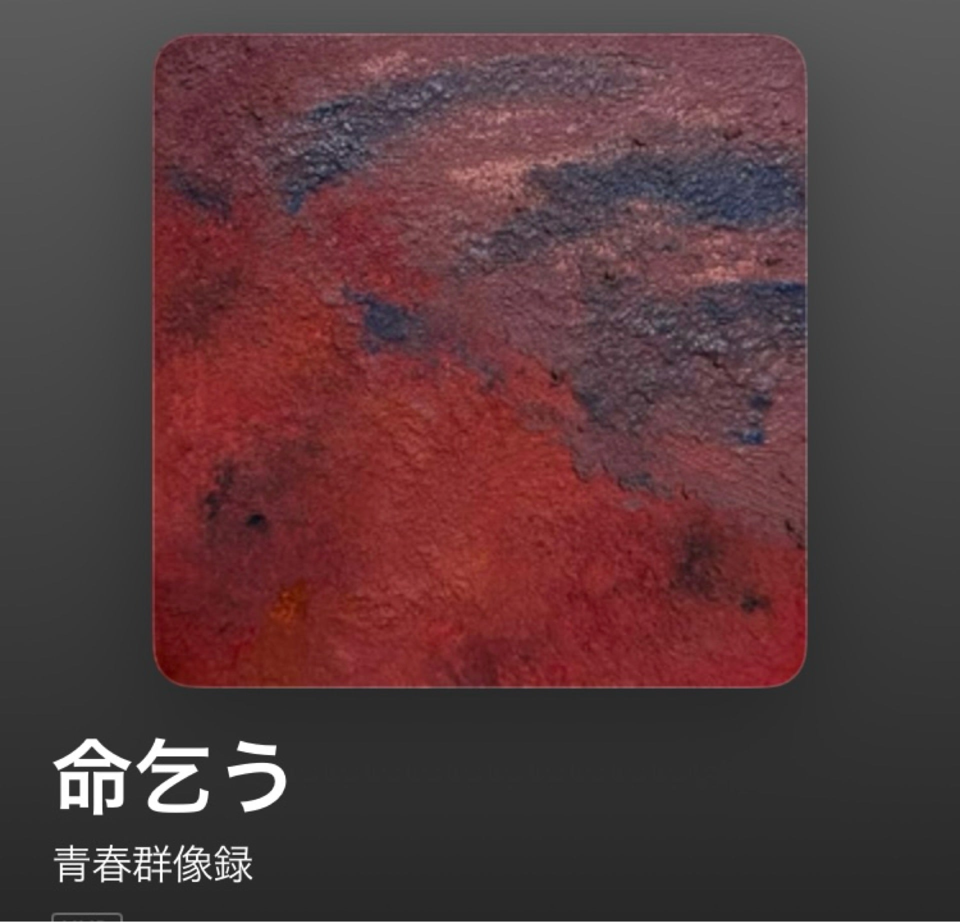 投稿画像