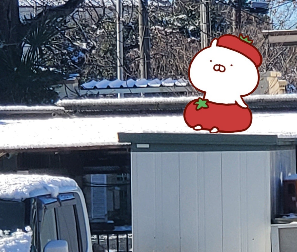 投稿画像