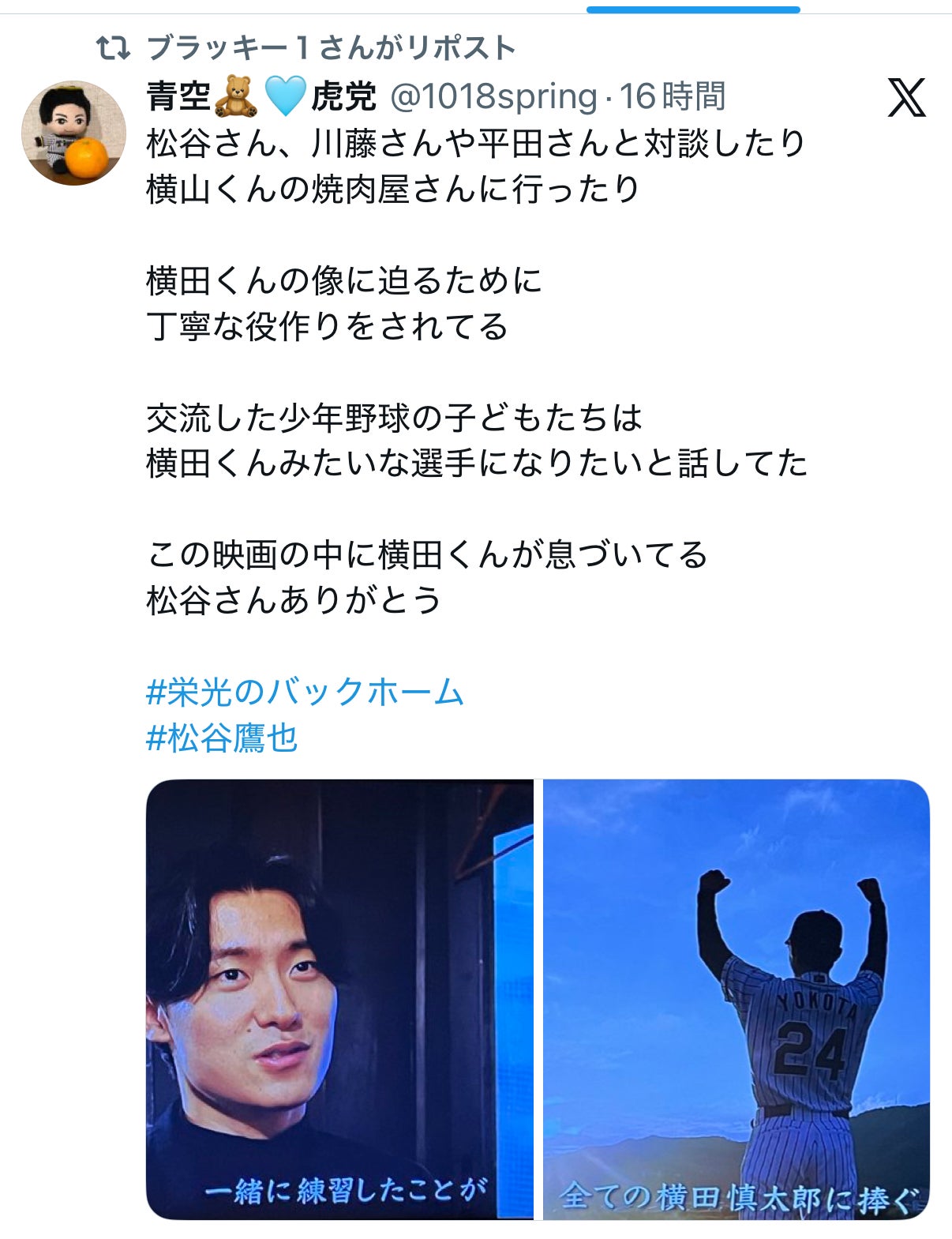 投稿画像