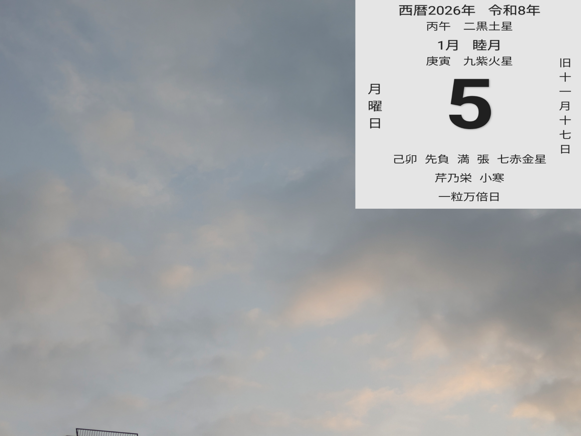 投稿画像