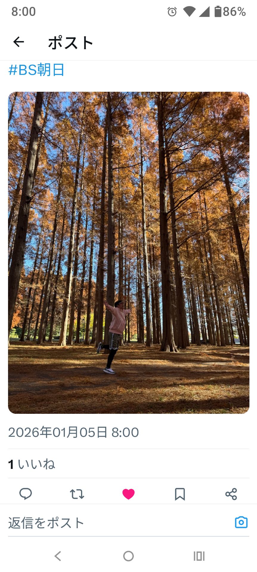 投稿画像