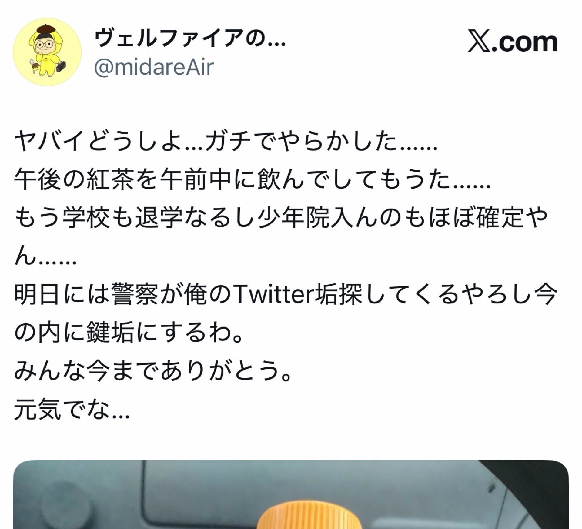 投稿画像