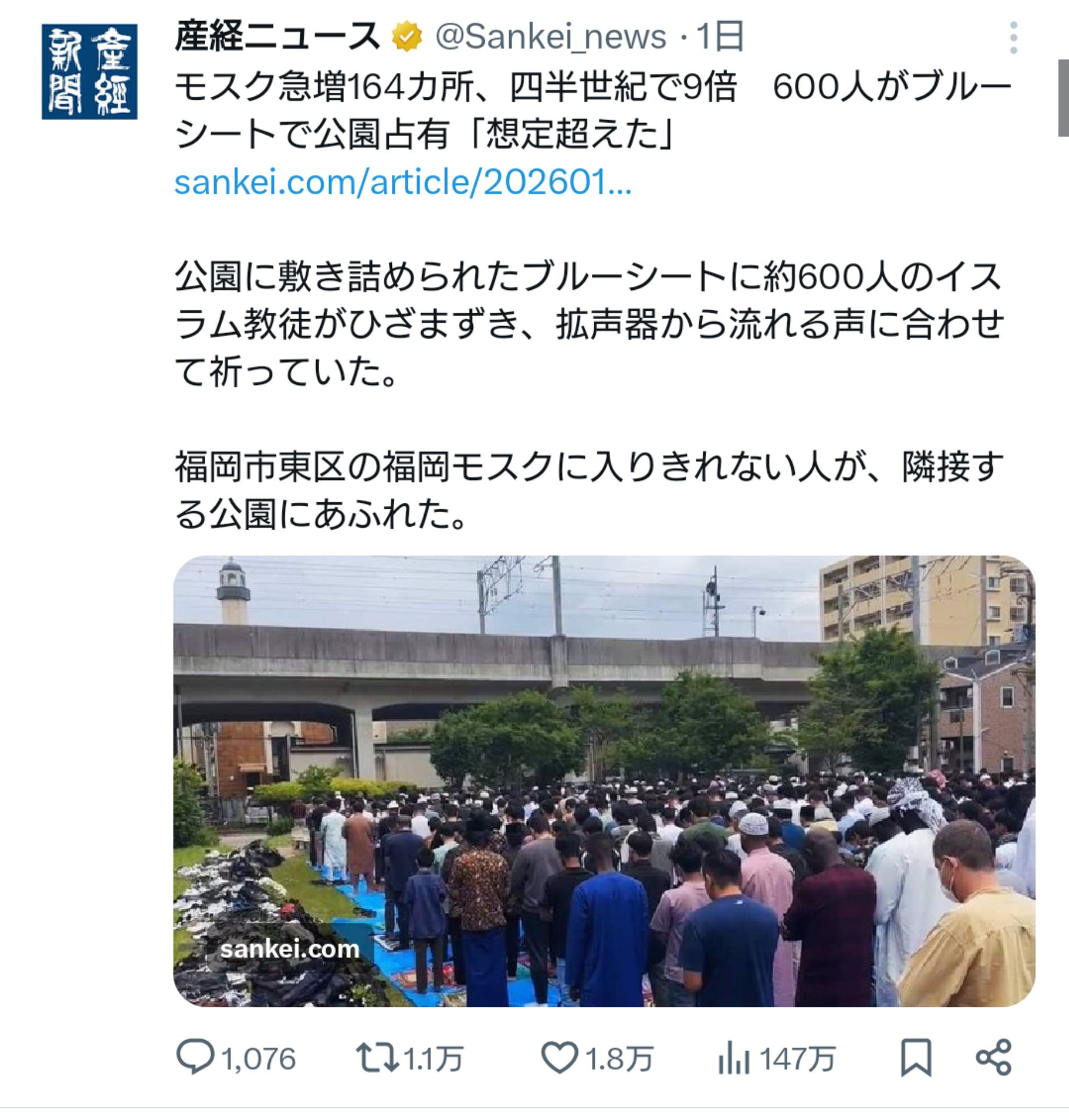 投稿画像
