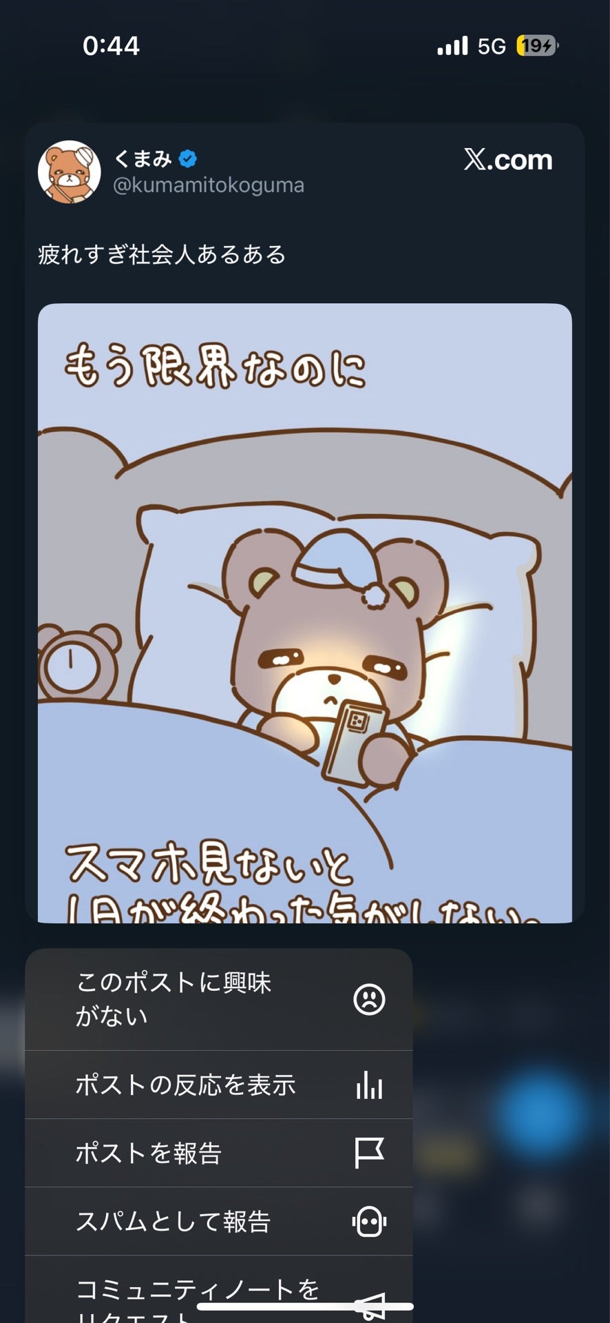 投稿画像
