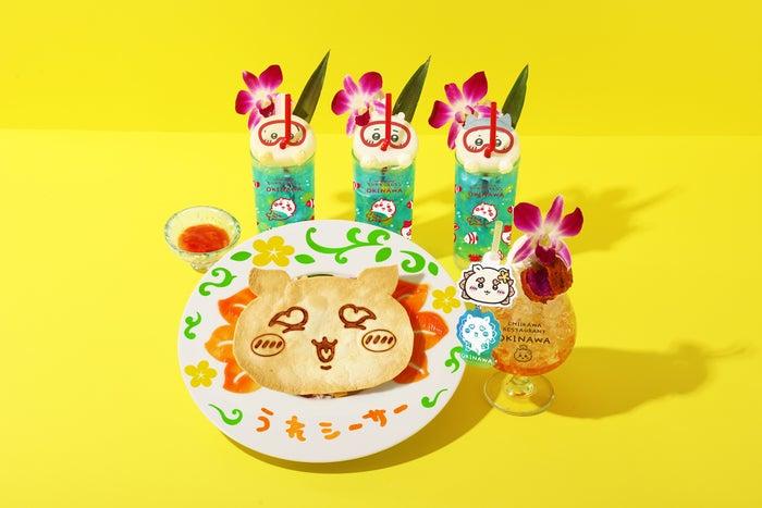 ニュース画像