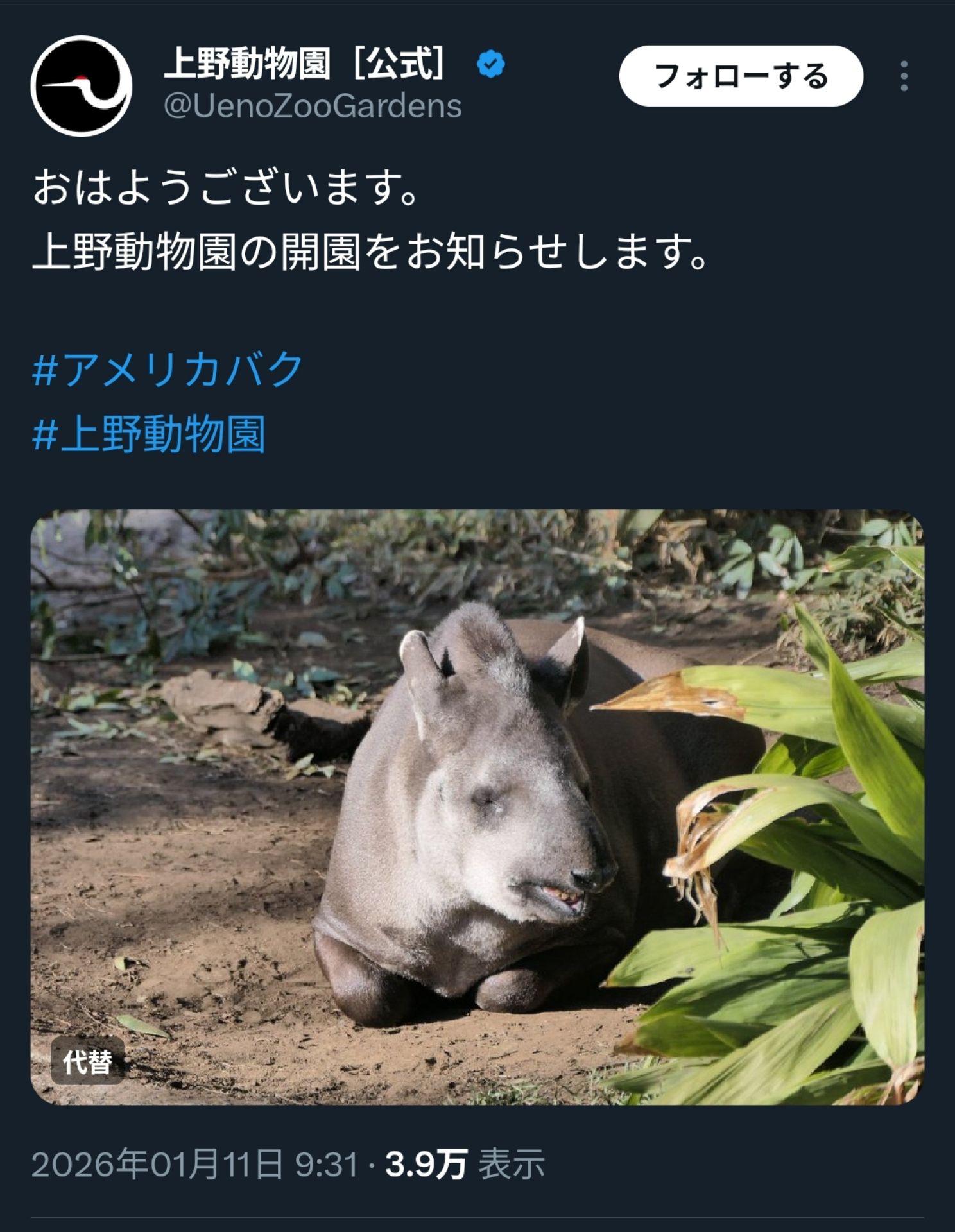投稿画像