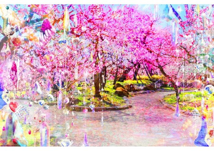 ニュース画像