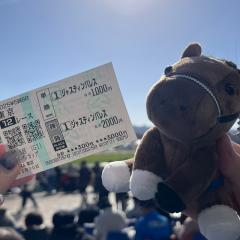 てどり100
