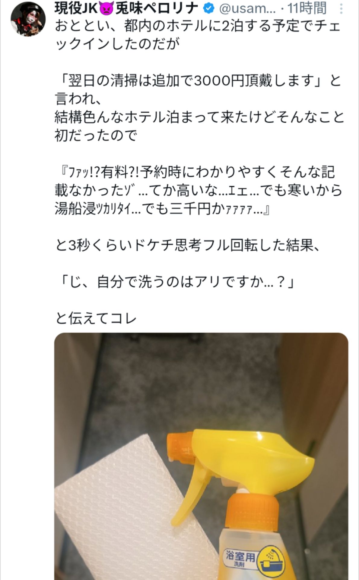 投稿画像