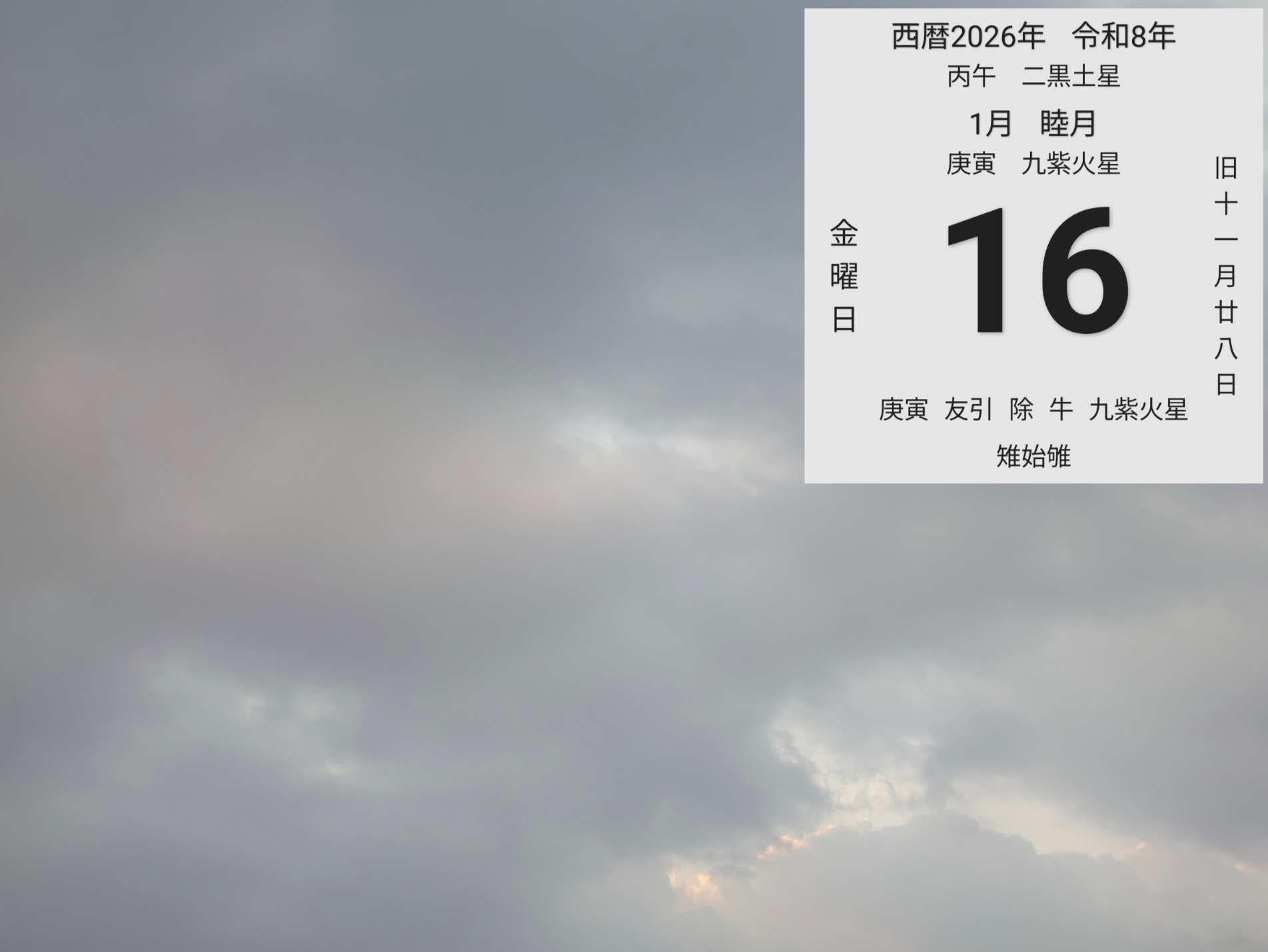 投稿画像