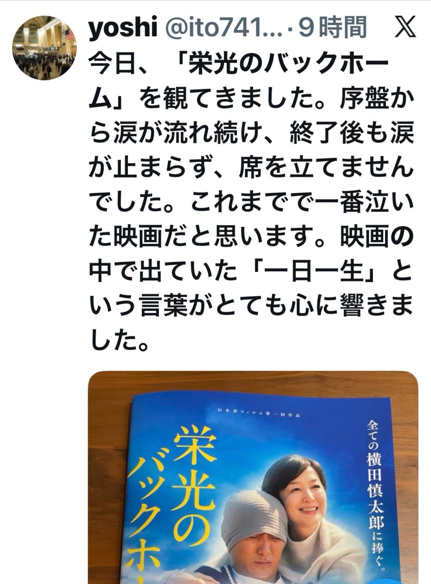投稿画像