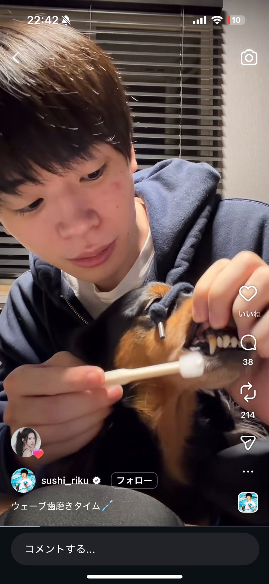 投稿画像
