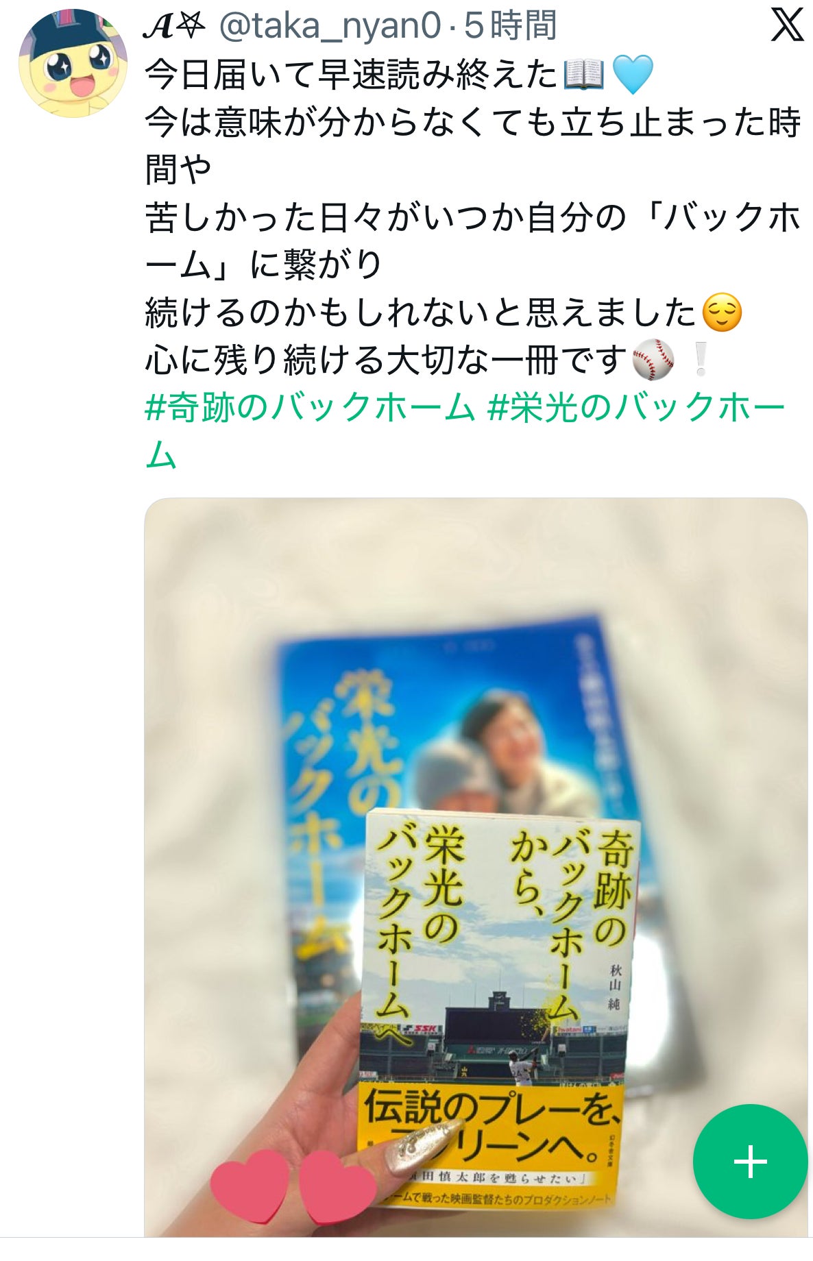 投稿画像