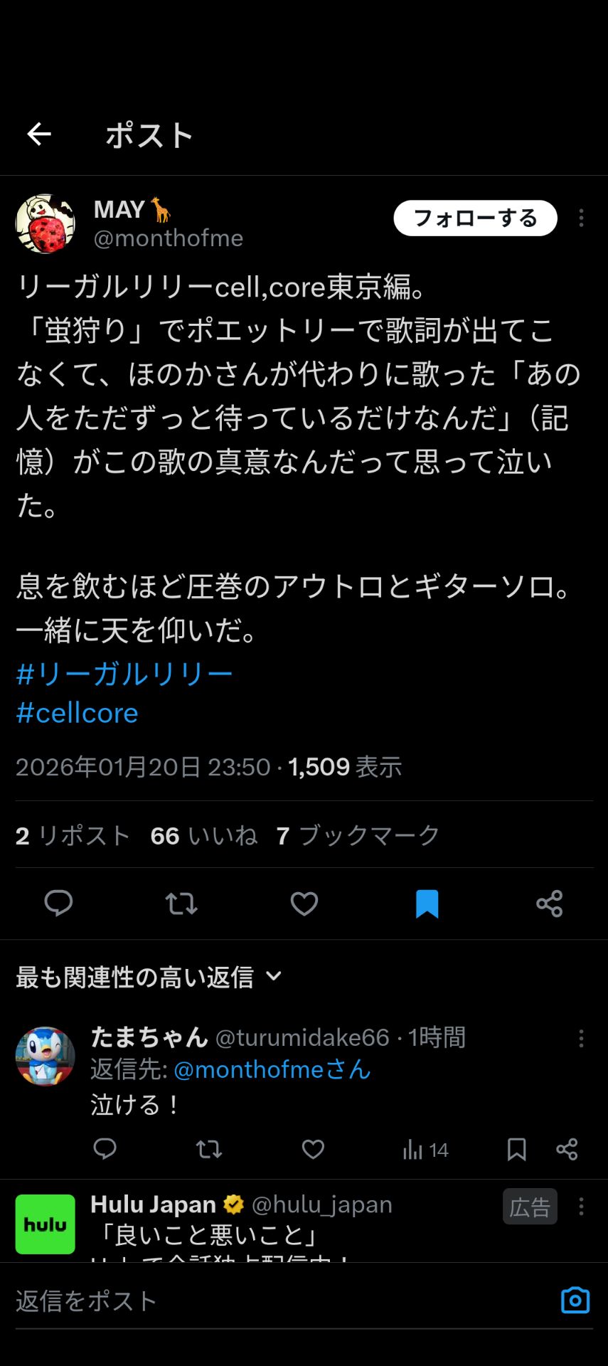 投稿画像