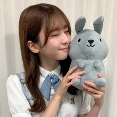 元乃木坂生田絵梨花　乃木坂． 日向坂46