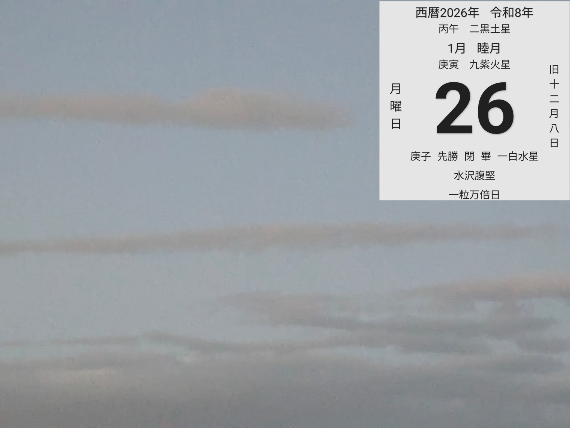 投稿画像