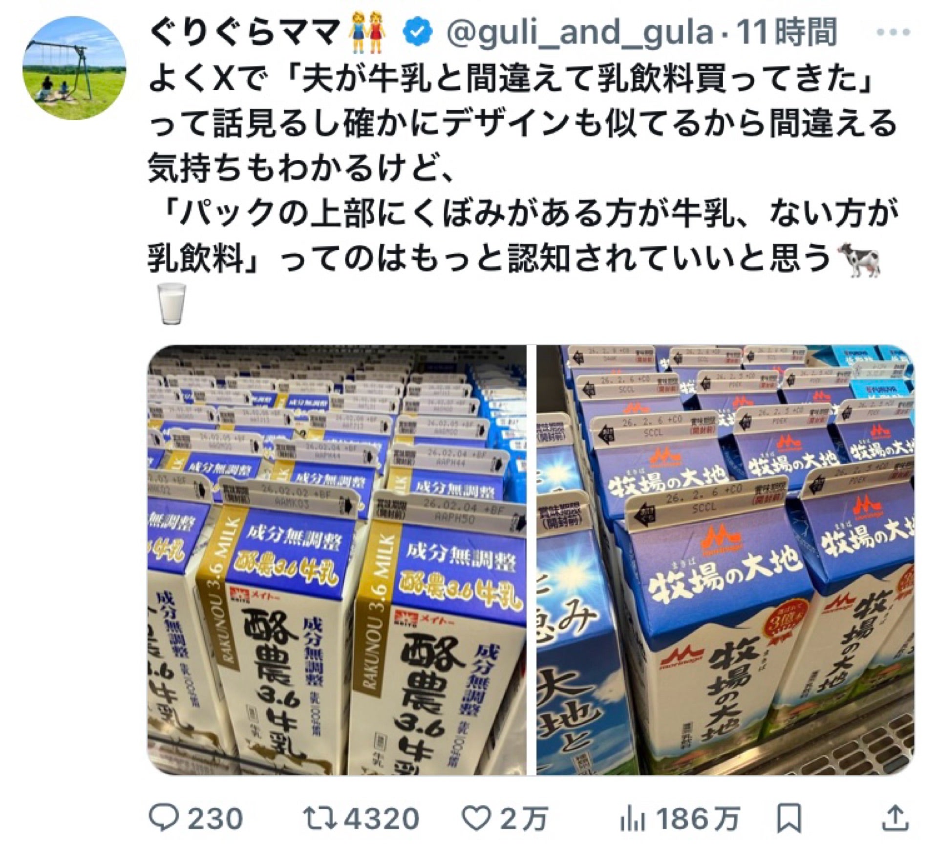 投稿画像