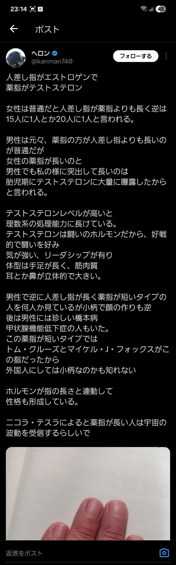 投稿画像