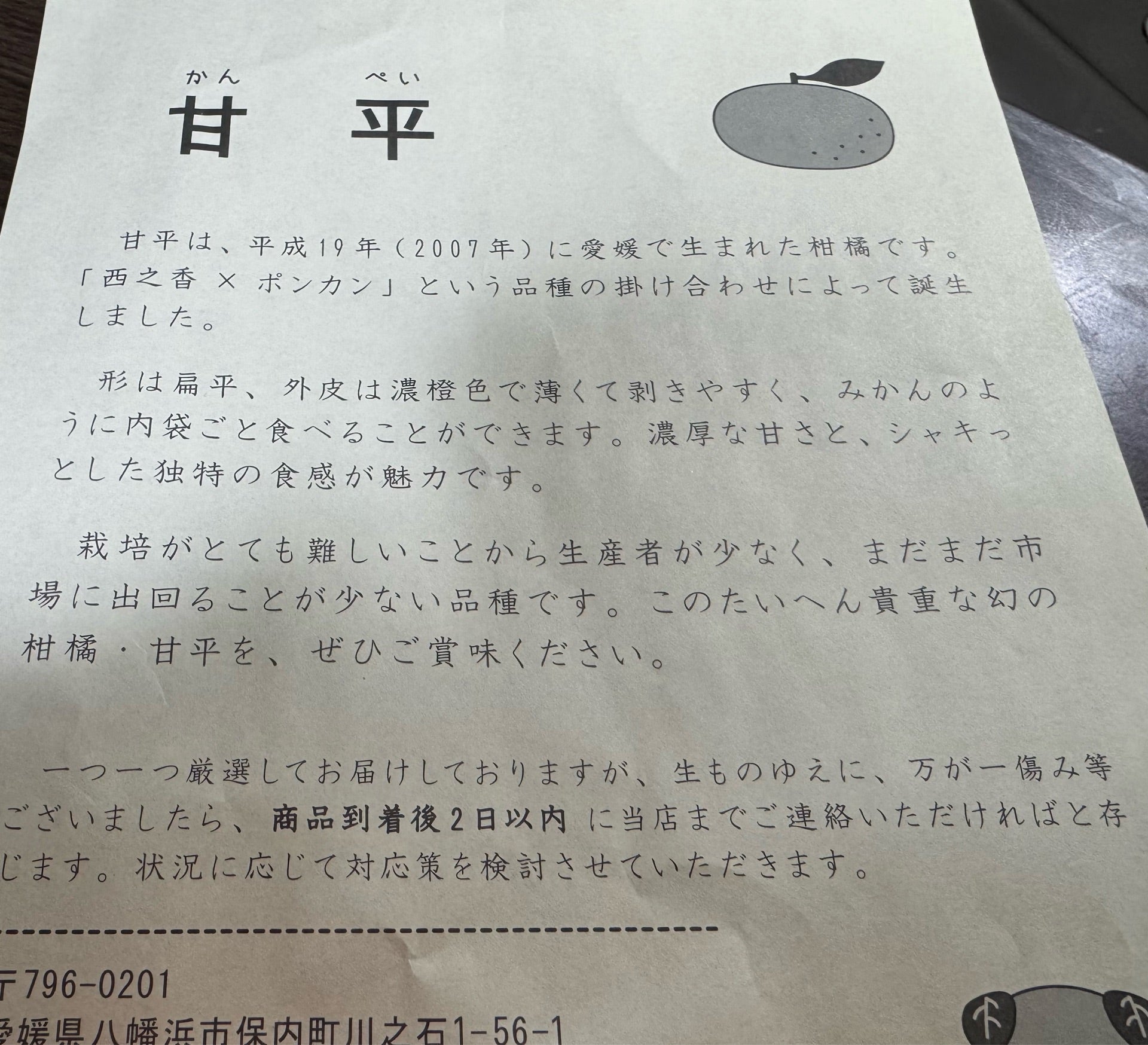 投稿画像
