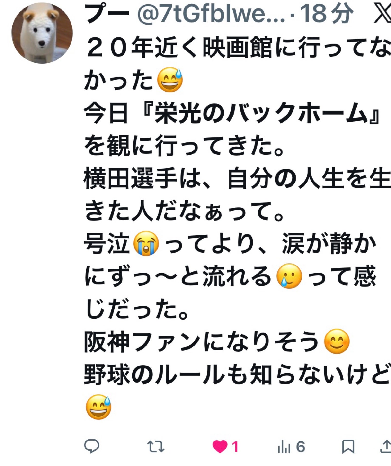 投稿画像