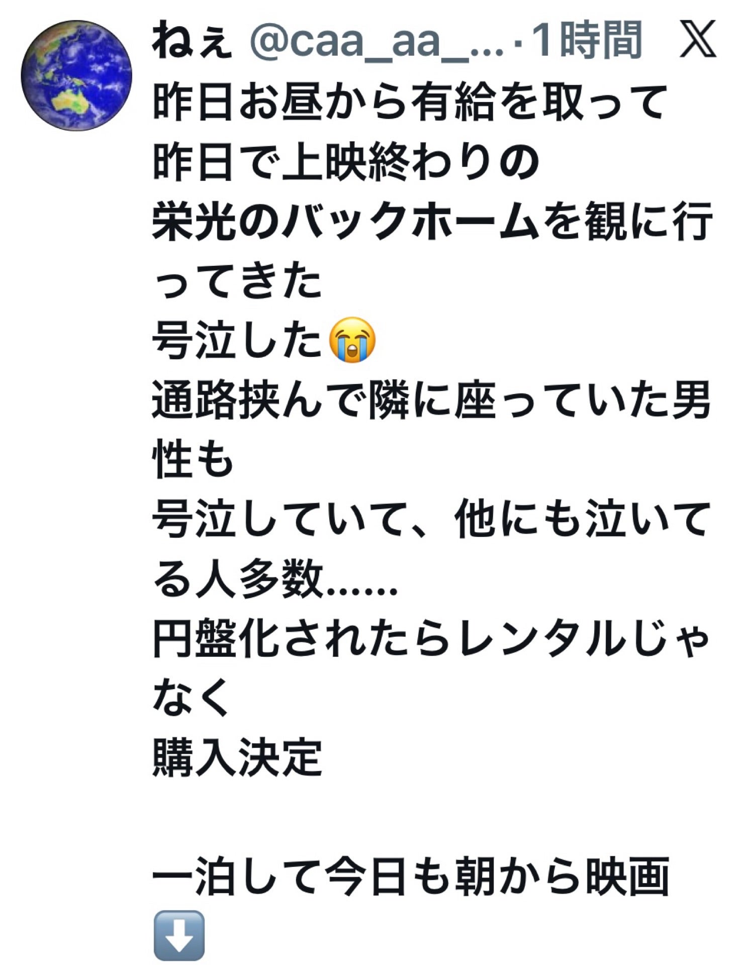 投稿画像