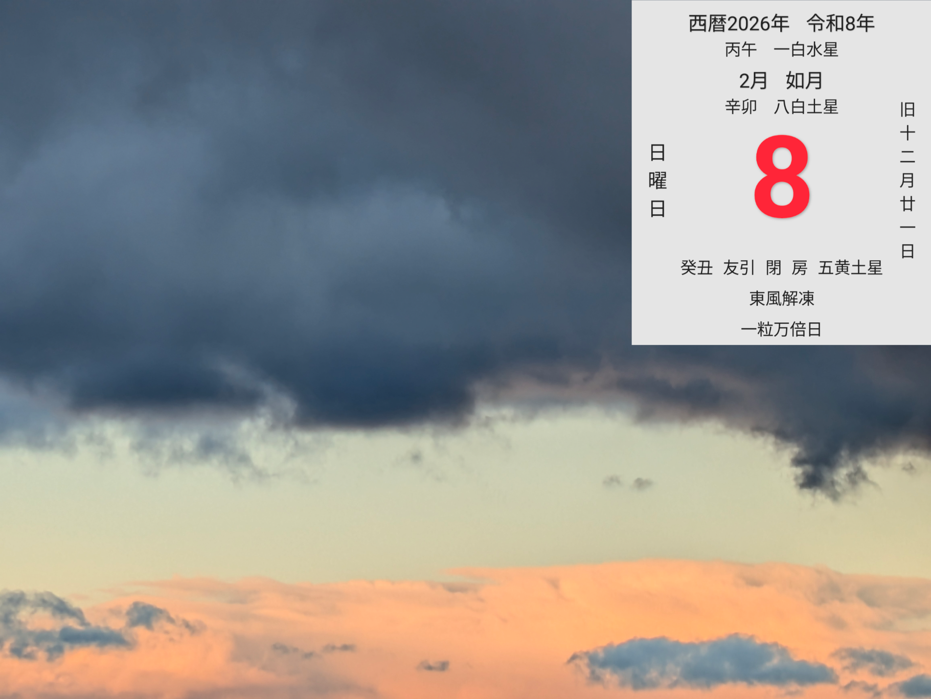 投稿画像