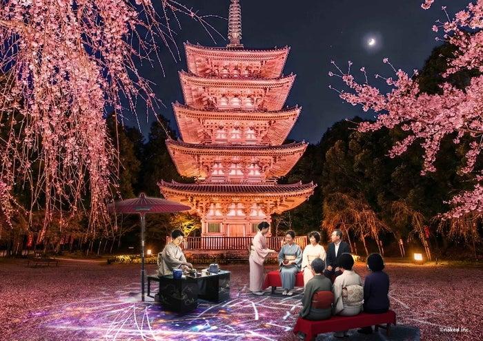 ニュース画像