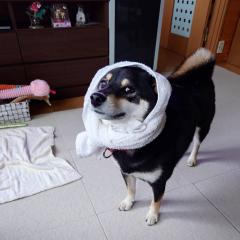 やまおやじ
