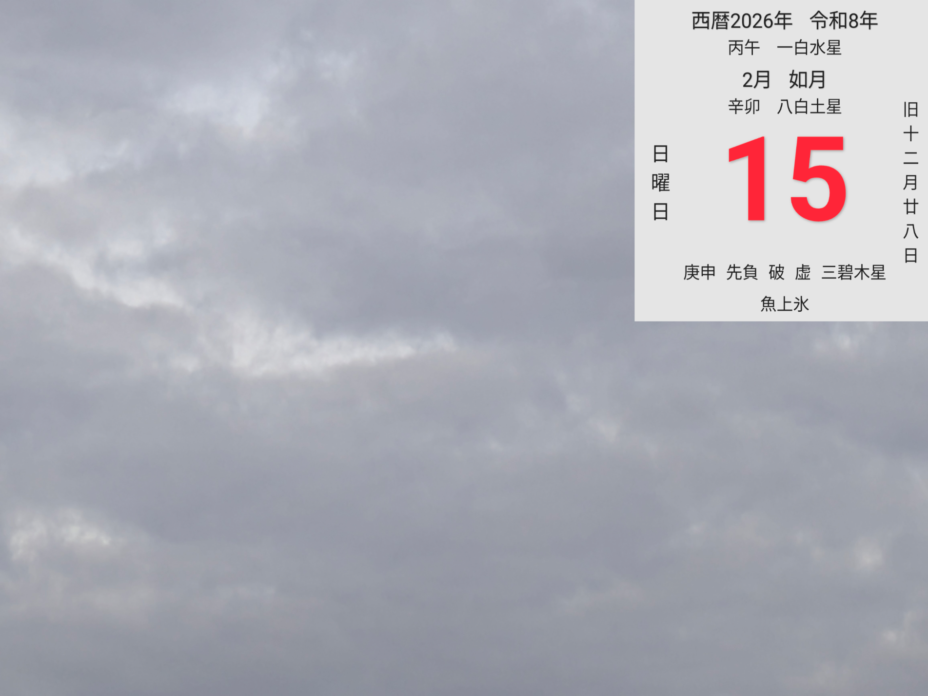 投稿画像