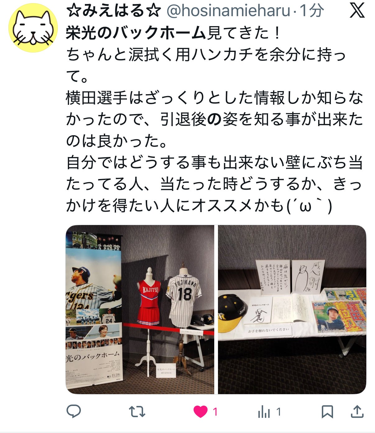投稿画像