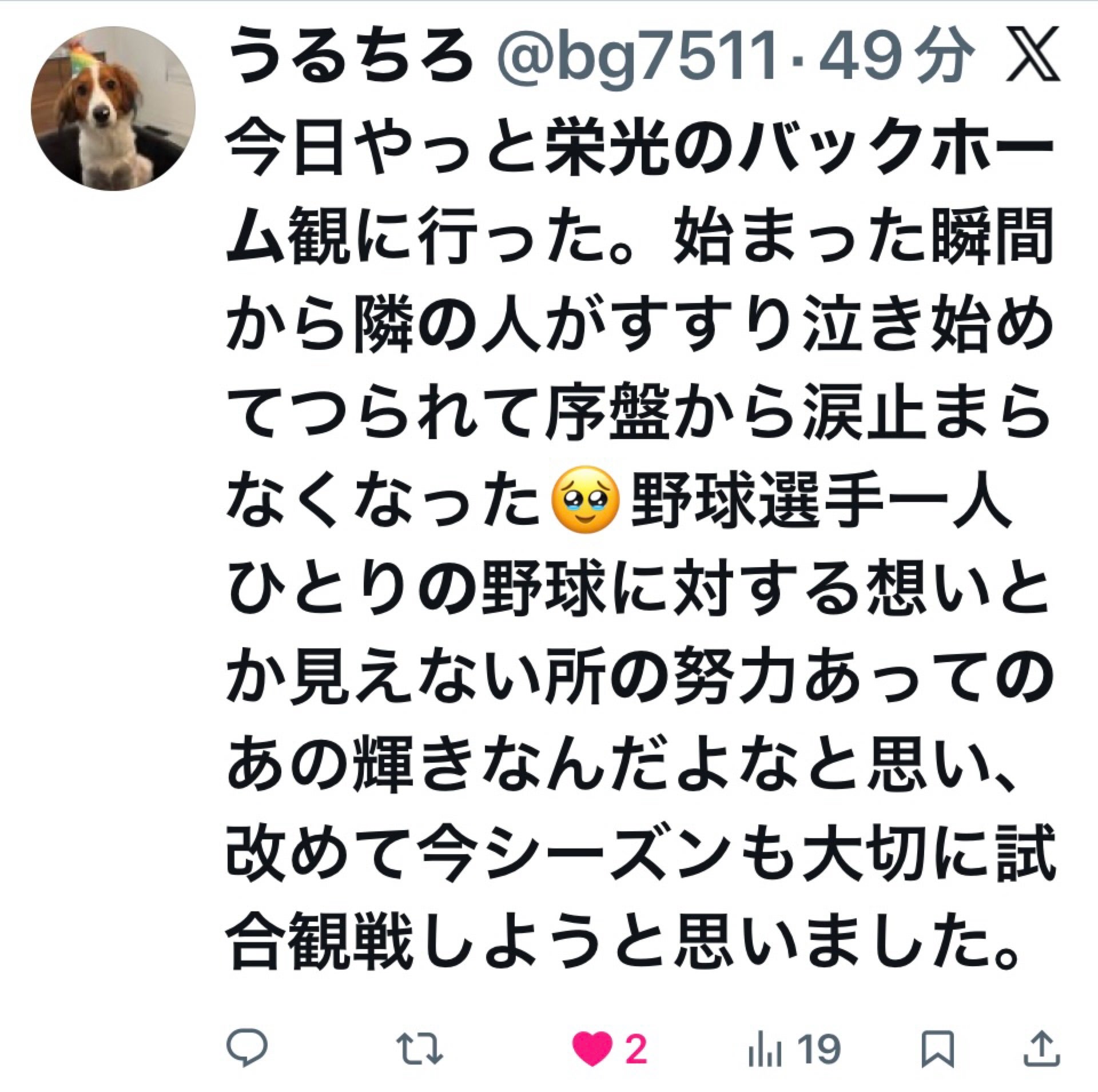 投稿画像