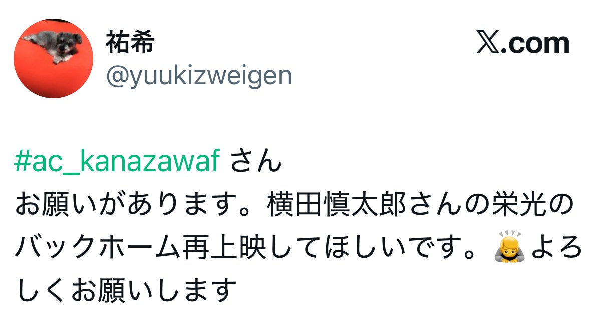 投稿画像