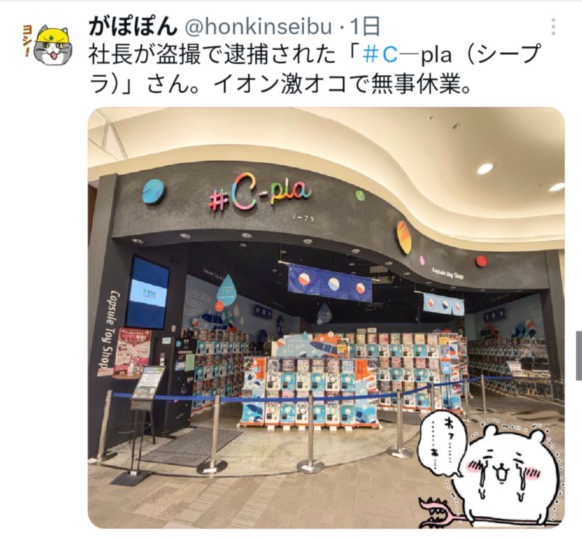 投稿画像