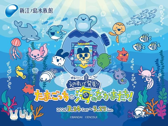 ニュース画像