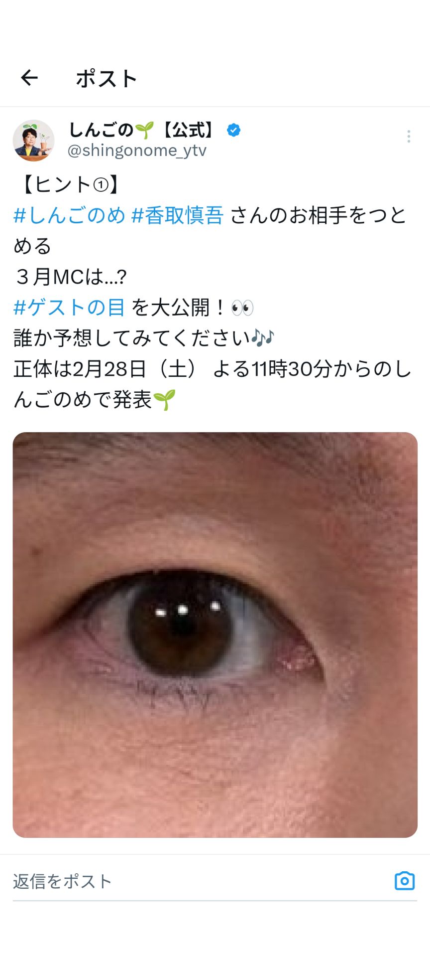 投稿画像