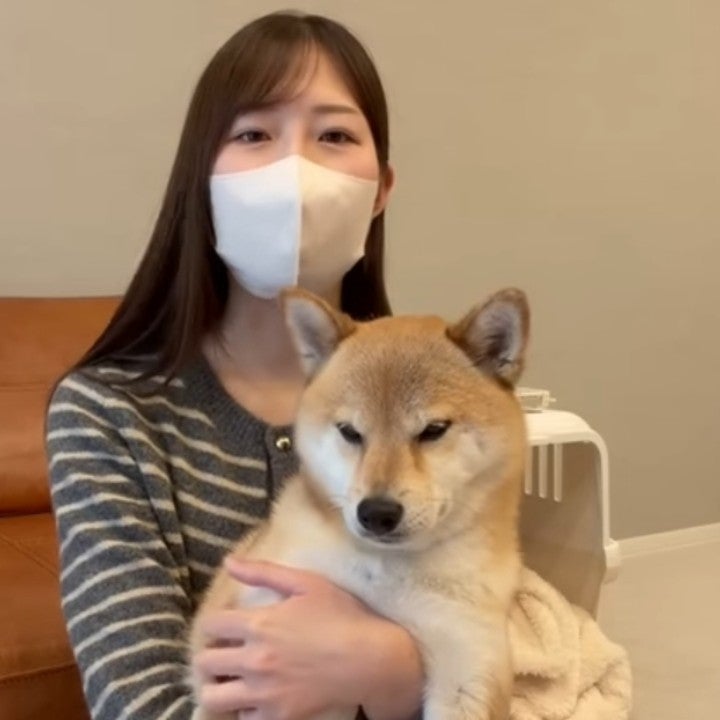 WBC 全試合みるぜ😂
