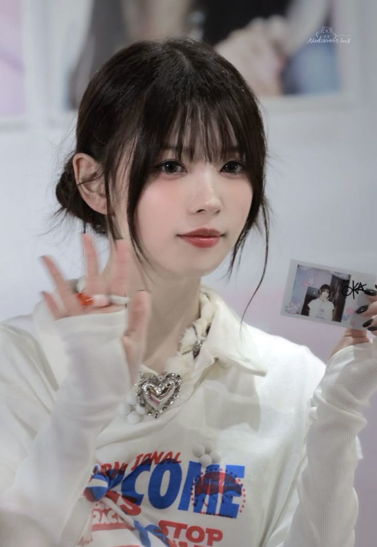 ๆ็จฟ็ปๅ