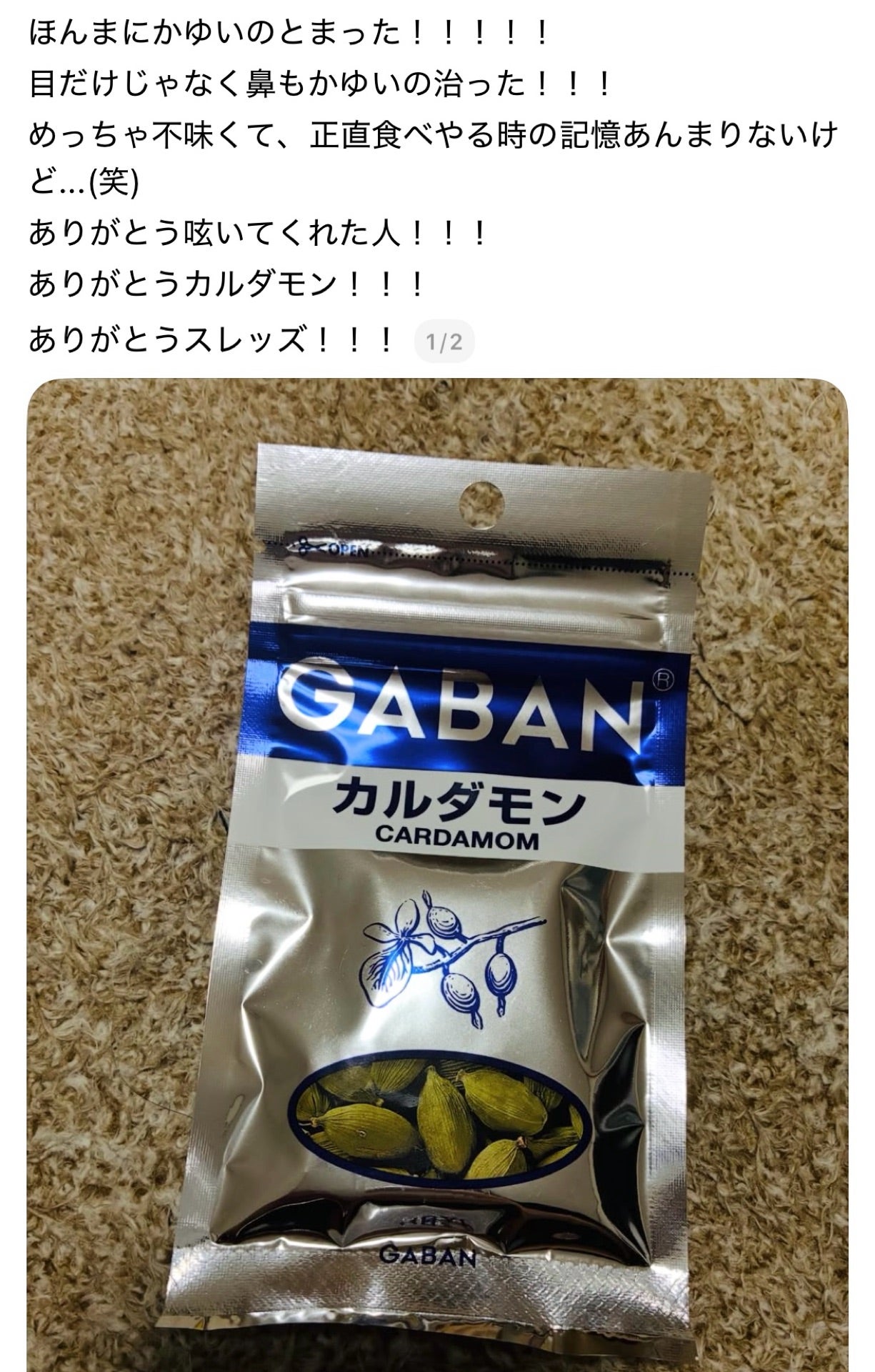 投稿画像