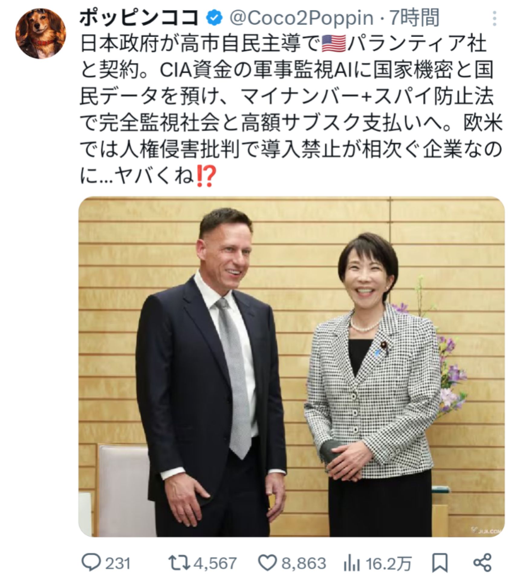 投稿画像