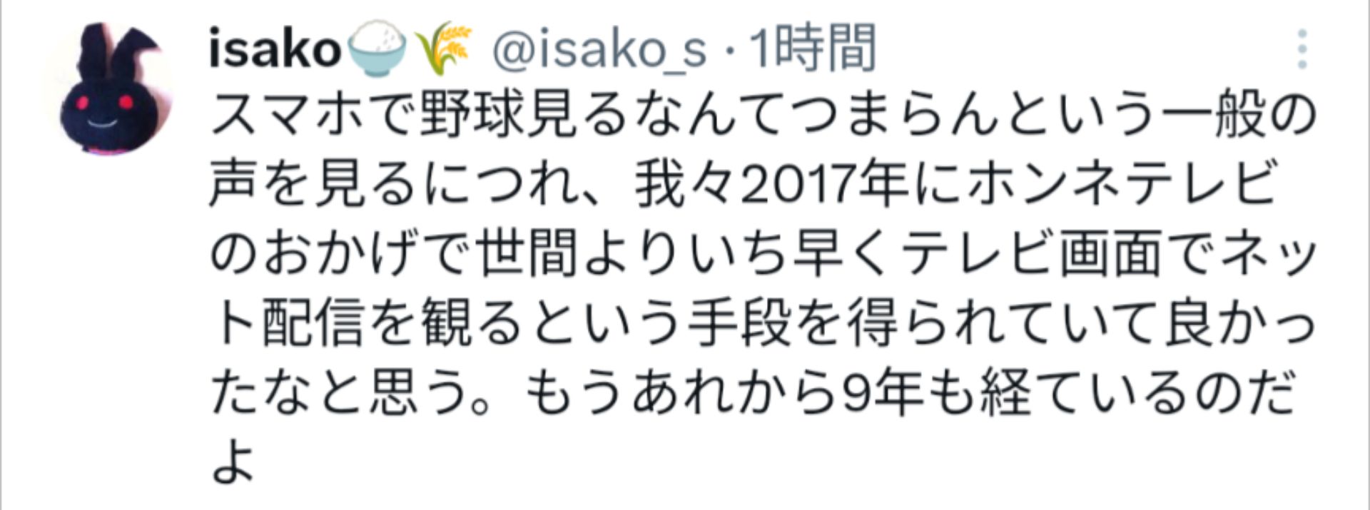 投稿画像