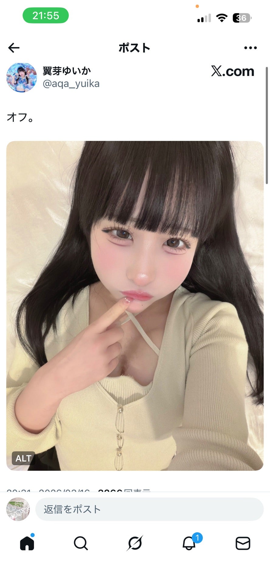 投稿画像