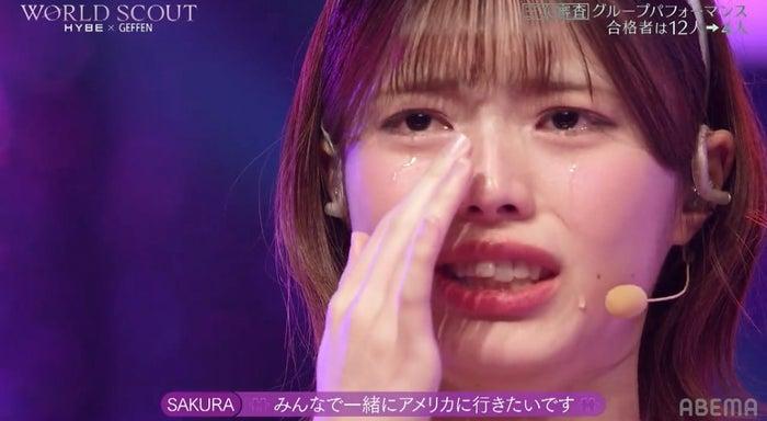 ニュース画像