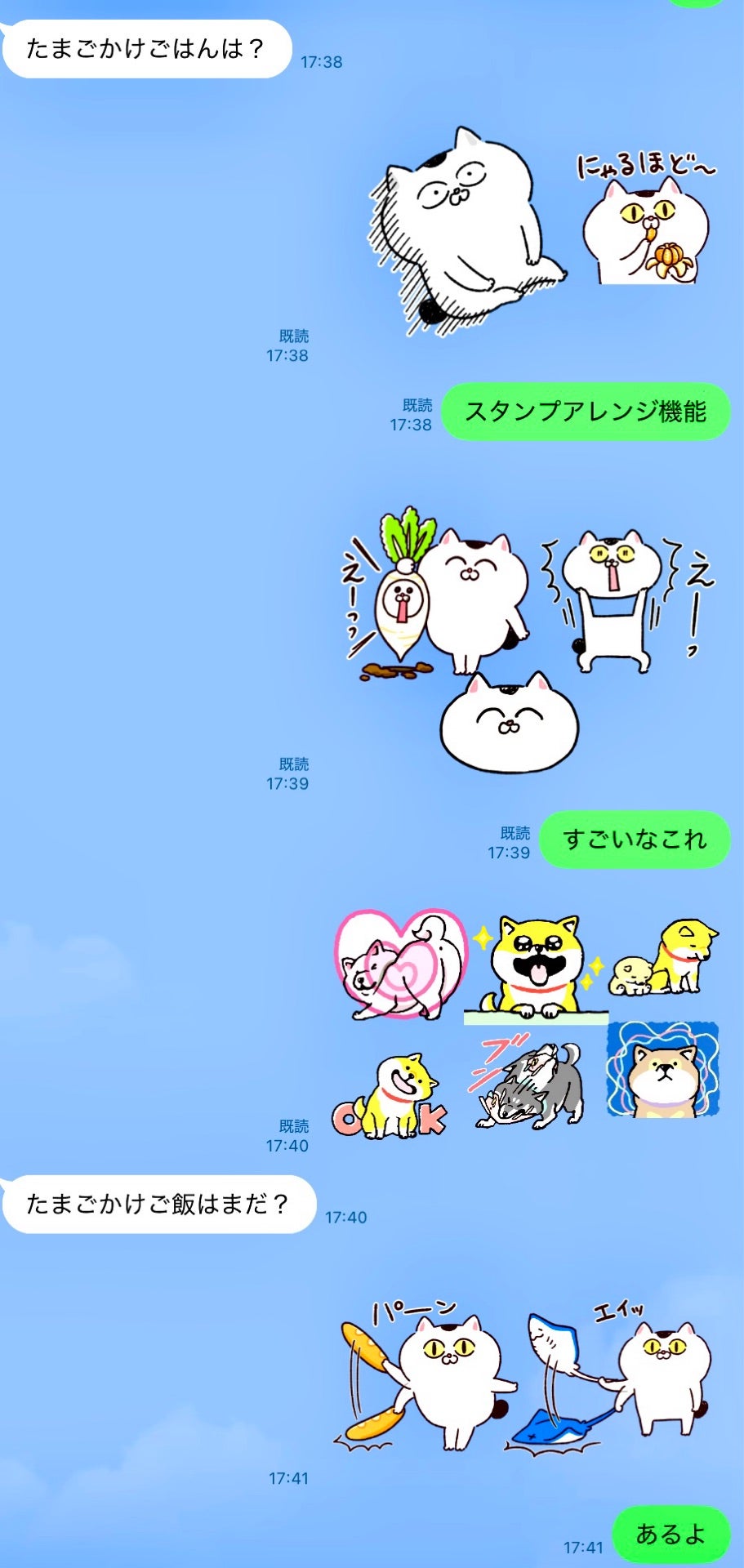 投稿画像