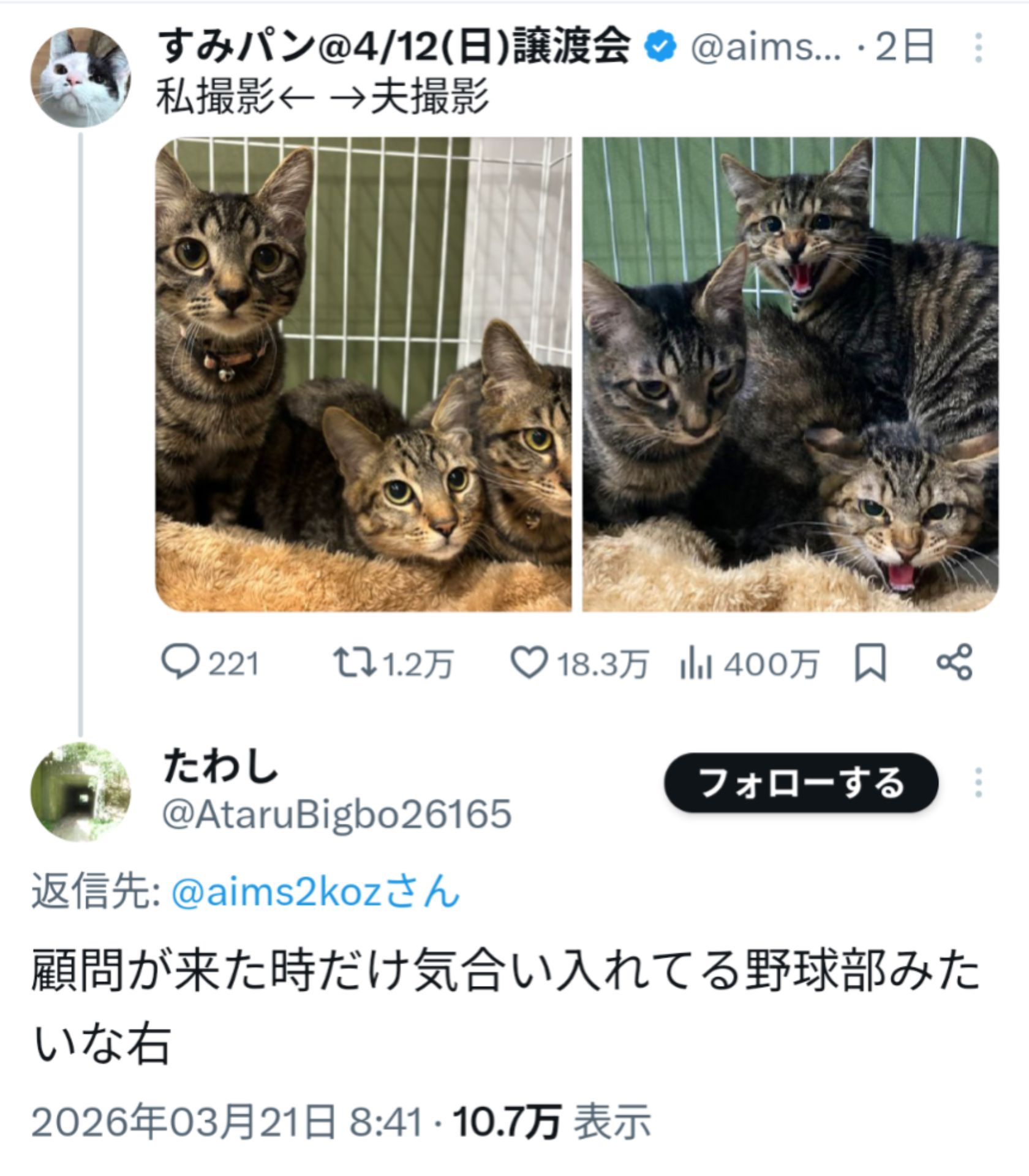 投稿画像