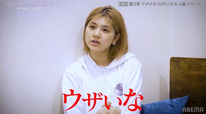 ニュース画像