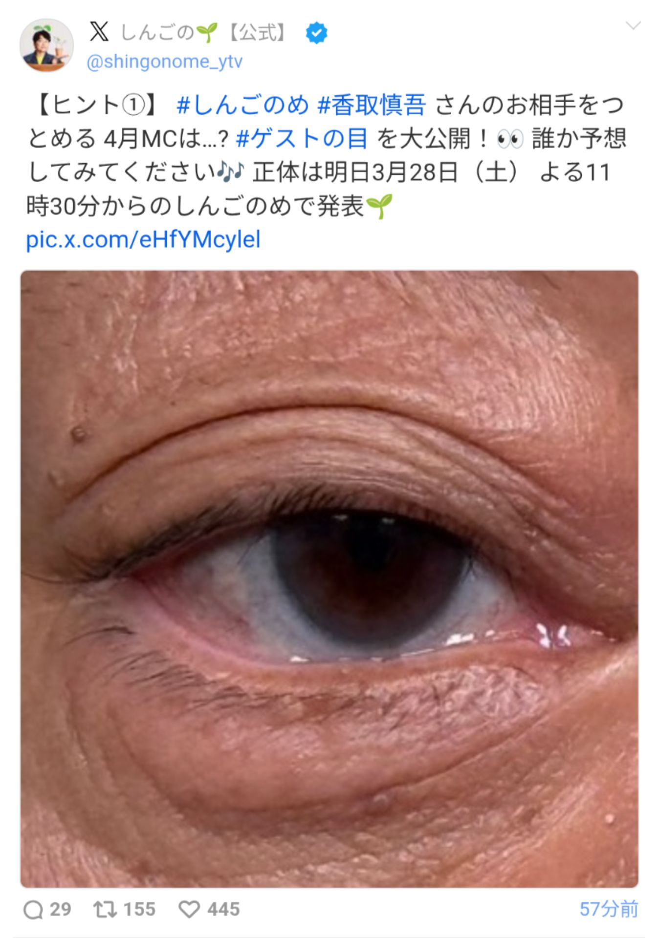投稿画像