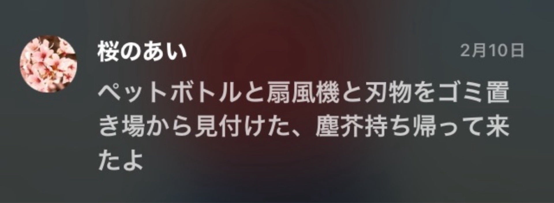 投稿画像